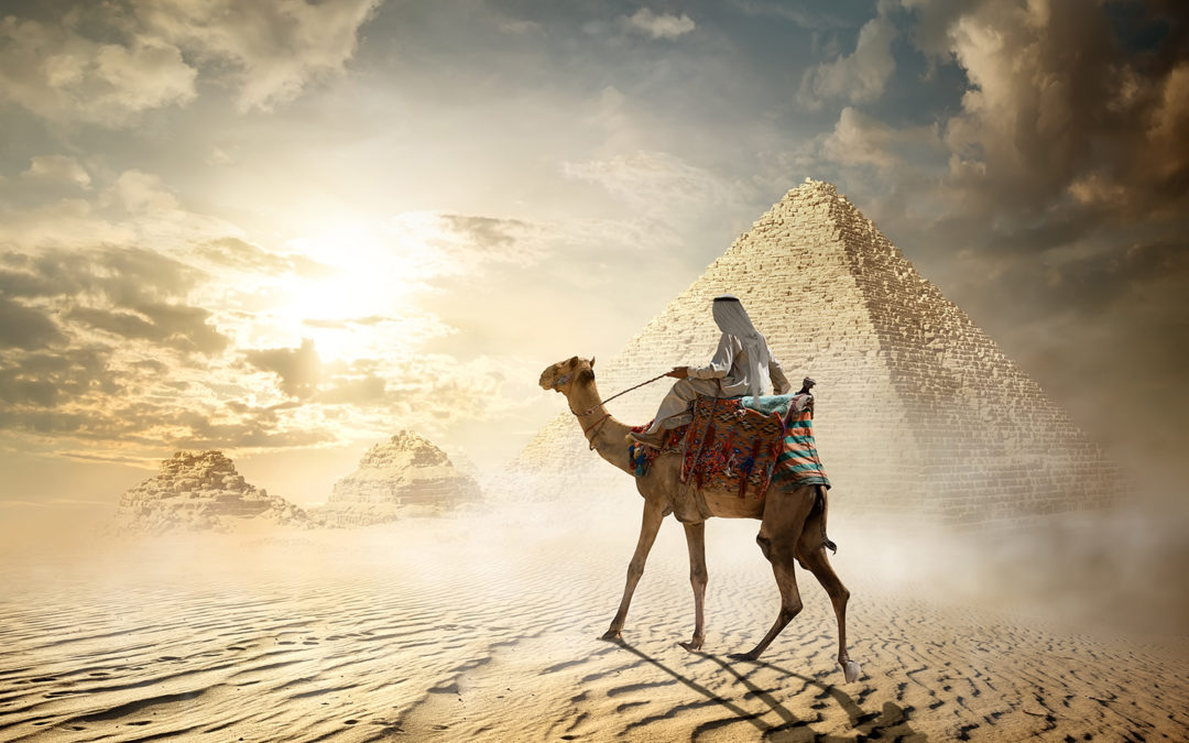 Lorem ipsum dolor sit amet, consectetur