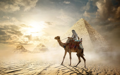 Lorem ipsum dolor sit amet, consectetur